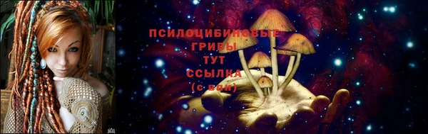 ECSTASY Новозыбков