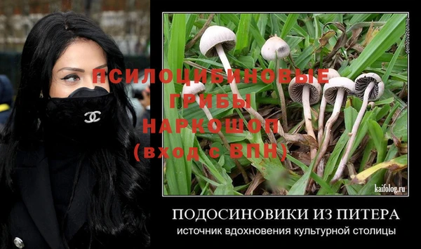 ECSTASY Новозыбков