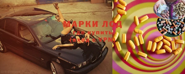трава Няндома