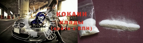 ECSTASY Новозыбков