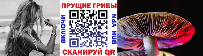 Псилоцибиновые грибы GOLDEN TEACHER  Лакинск 